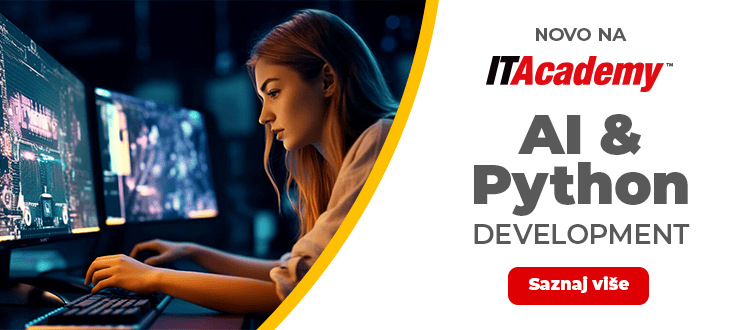 NOVO: AI & Python Development Program