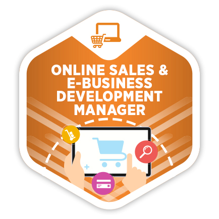 Online Sales & E-business Development Program školovanja